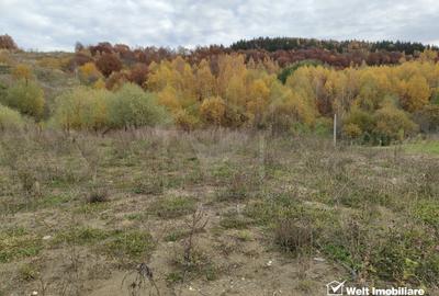 Teren Construcții intravilan de 994 mp, în Sălicea - 1
