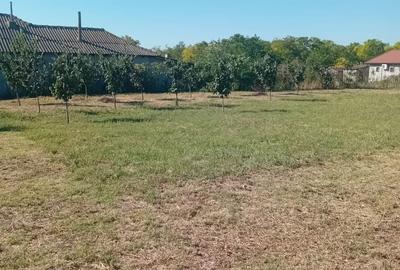 Teren de 1680 mp, în Ciocârlia