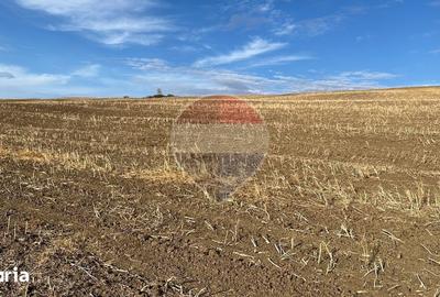 Teren de 19050 mp, în Cătina