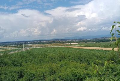 Casă cu Teren 1300 Mp în Tărcaia - 6