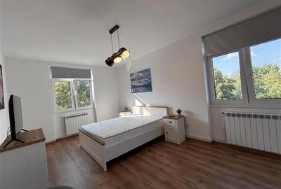 Apartament cu 2 camere decomandat, mobilat în Județean - 12