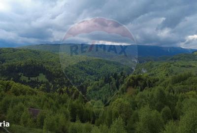 Spațiu comercial, în Dâmbovicioara
