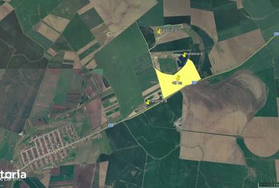 Teren de 480000 mp, în Vladimirescu - 6