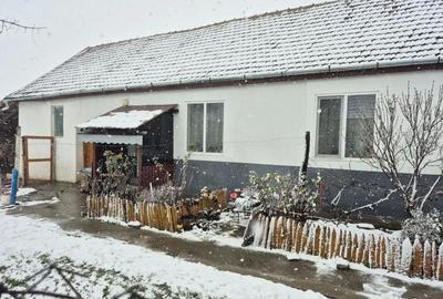 Casă în Pustiniș - 10