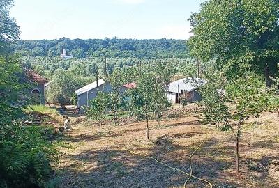 Casă cu Teren 4650 Mp în Vârvor