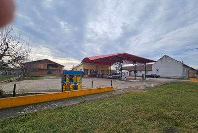 Spațiu comercial, de 550 mp, în Gottlob - 3