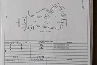 Teren de 9916 mp, în Coșna - 4
