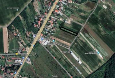 Teren intravilan de 3000 mp, în Ciolpani - 2