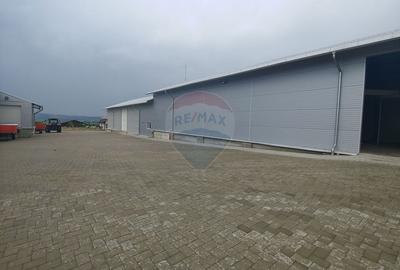 Spațiu industrial, de 292 mp, în Dumbrăveni - 3