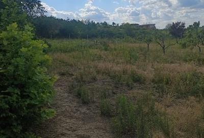 Teren de 2000 mp, în Calea Aradului - 1