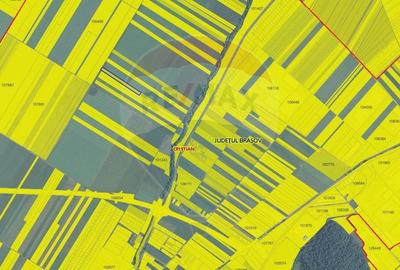 Teren agricol extravilan de 9650 mp, în Cristian - 3