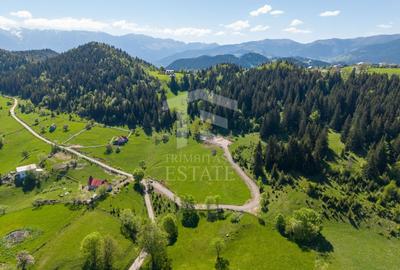 Teren Construcții intravilan de 15771 mp, în Fundata - 8