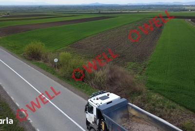 Teren de 5000 mp, în Ozun
