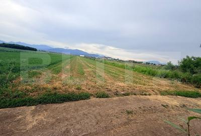 Teren Construcții intravilan de 4350 mp, în Stupini