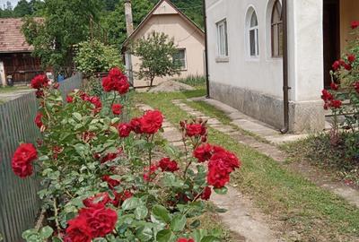 Casă cu 4 camere în Central
