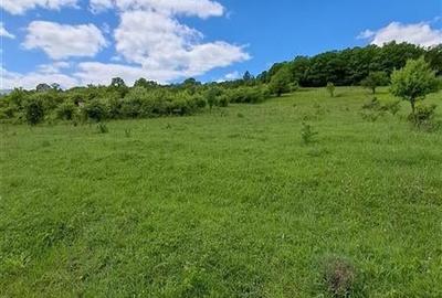 Teren agricol extravilan de 550 mp, în Sadu - 6