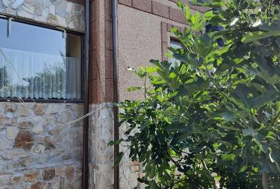 Casă individuală cu 9 camere cu Teren 2665 Mp în Central - 5