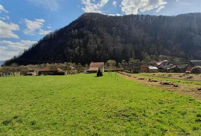 Teren Construcții intravilan de 6100 mp, în Bulz - 2