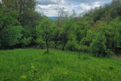 Teren de 3530 mp, în Vârfuri - 2