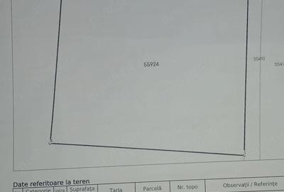 Casă cu Teren 1323 Mp în Bârca - 8