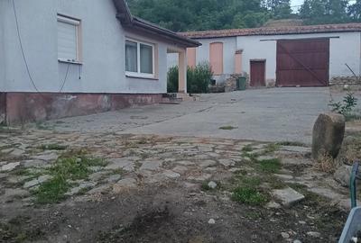 Casă cu Teren 1439 Mp în Saschiz - 1