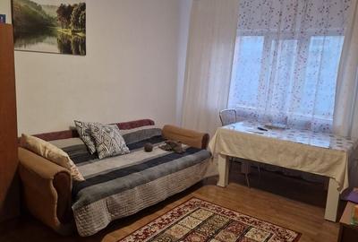 Apartament cu 2 camere decomandat în Brazda lui Novac - 3