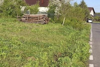 Spațiu comercial, în Moșoaia