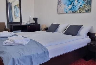 Apartament cu 2 camere semidecomandat în Băile Felix - 3