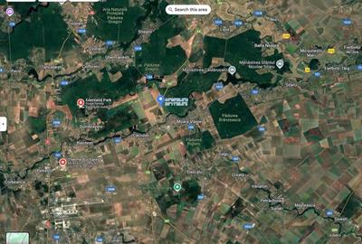 Teren agricol extravilan de 2095 mp, în Moara Vlăsiei - 2