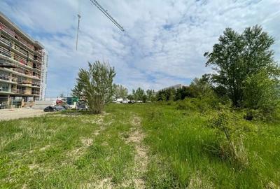 Teren Construcții intravilan de 9055 mp, în Sisești - 7