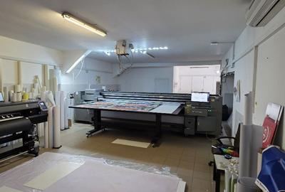 Spațiu industrial, de 500 mp, în Giurgiului - 4