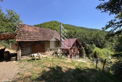 Casă cu Teren 771 Mp în Dumbrava