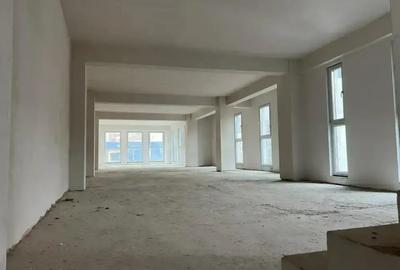Spațiu comercial, de 700 mp, în Pache Protopopescu