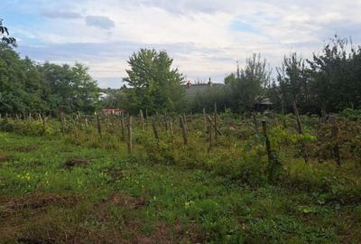 Teren de 1265 mp, în Strunga - 7
