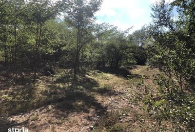 Teren de 3000 mp, în Porumbacu de Jos - 3