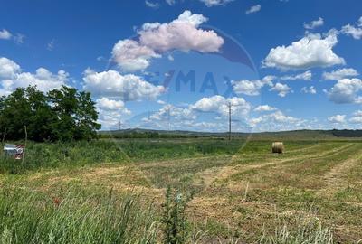 Teren Construcții intravilan de 2900 mp, în Jucu de Sus - 2