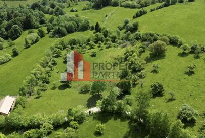 Teren Construcții intravilan de 5075 mp, în Bran - 2
