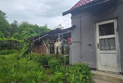 Casă cu 3 camere cu Teren 393 Mp în Vânători - 1