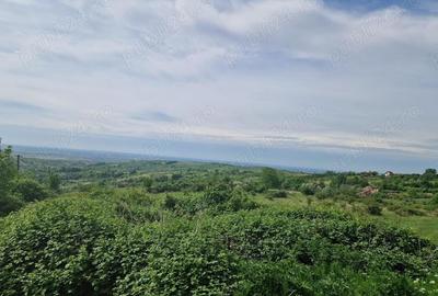 Teren de 18000 mp, în Seciu