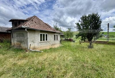 Casă individuală cu 2 camere cu Teren 5000 Mp în Drăculea Bandului