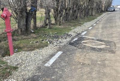 Spațiu comercial, în Balotești - 9