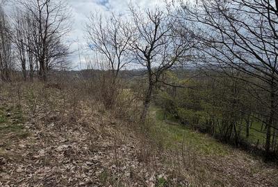 Teren de 10176 mp, în Slătioara - 1