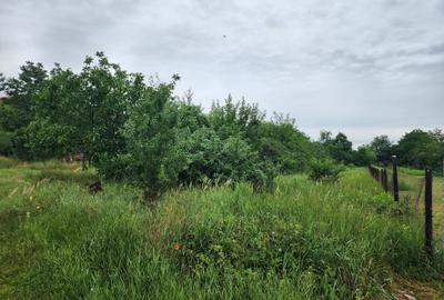 Teren Construcții extravilan de 1000 mp, în Giroc - 2