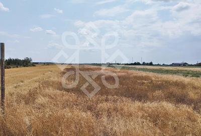 Teren de 3000 mp, în Gepiu
