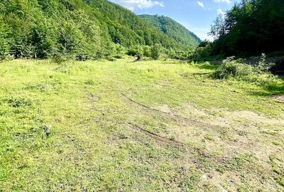 Teren de 11000 mp, în Central - 2