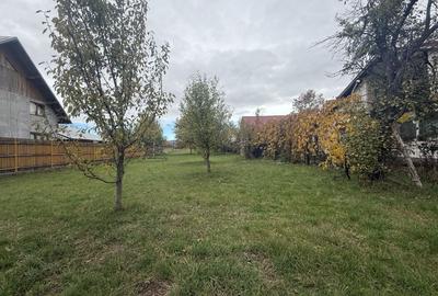 Teren Construcții intravilan de 2331 mp, în Brebu Megieșesc - 14