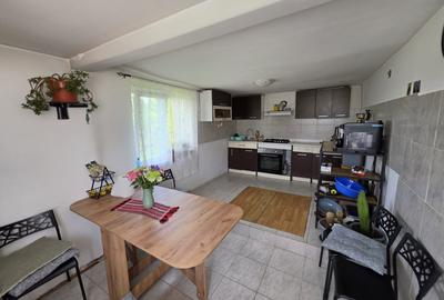 Casă individuală cu 3 camere cu Teren 3604 Mp în Tortoman - 2