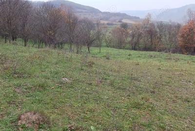 Teren de 7800 mp, în Sântejude - 1