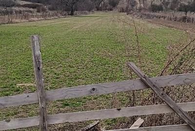 Teren de 5500 mp, în Chiojdu