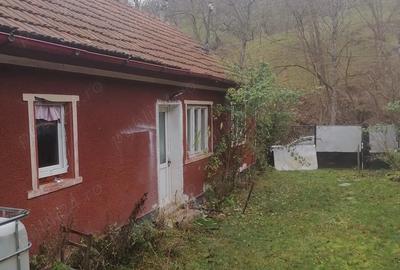 Casă cu Teren 2000 Mp în Central